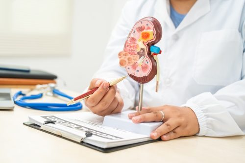 ما هو تحليل وظائف الكلى؟